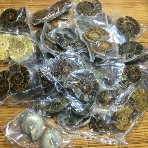 1kg pairs small split - small,