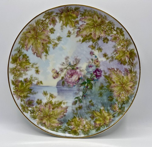 Belle assiette haviland - belle,