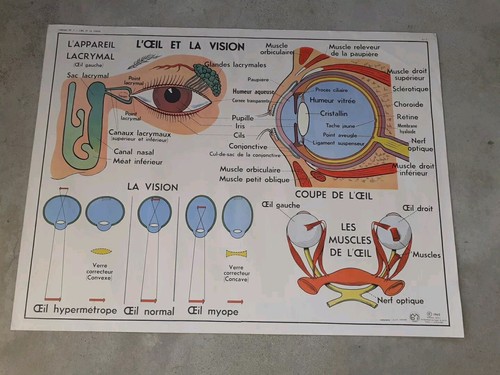 Affiche scolaire mdi - scolaire, n°7-8