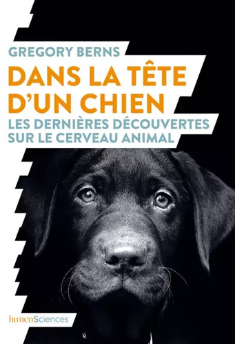 Dans tête chien les - la,