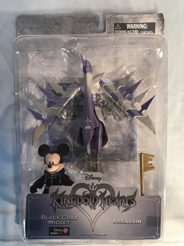 Kingdom hearts organization - hearts,