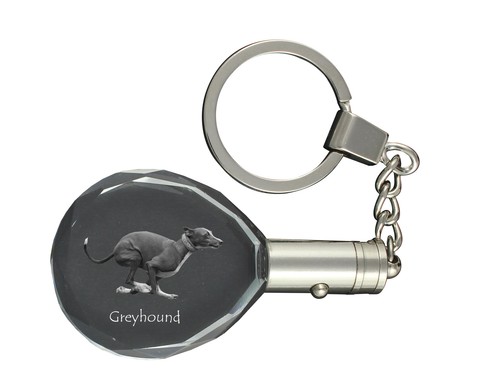 Greyhound grand lévrier - greyhound,,
