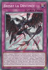 Yu-Gi-Oh! Brisez la Destinée : C BODE-FR076
