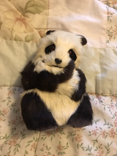 Vintage panda bear mother and - vintage,