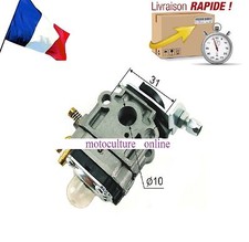 Carburateur pour taille haie