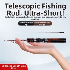 Canne à pêche télescopique