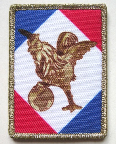 Insigne tissu patch pole - insigne,