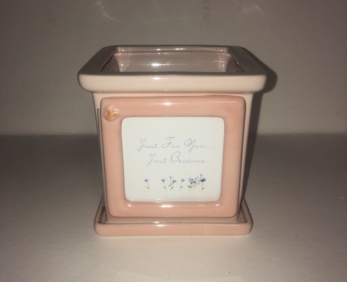 Winnie the pooh flower pot - pooh,