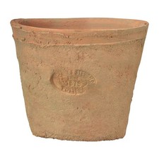 Pot De Fleurs En Terracotta