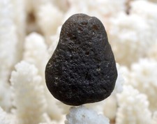Agni Manitite tectite - 73