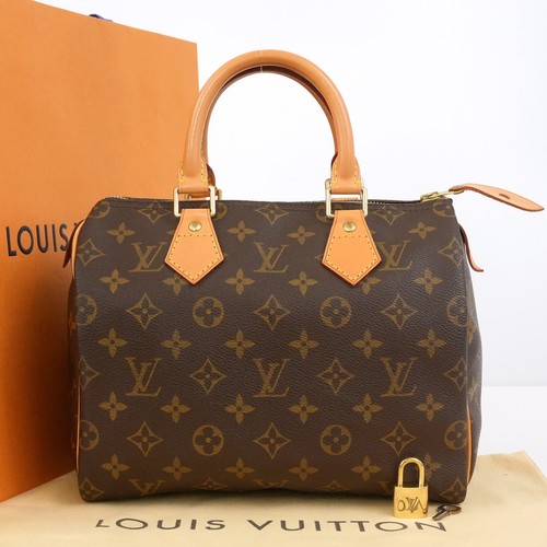 Sac main louis vuitton - main,