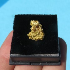 Minéraux *** RARE PEPITE D'OR