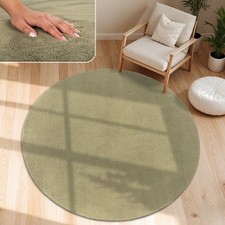 Tapis Moderne Salon À Poils