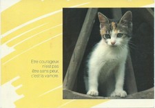 CARTE POSTALE ANCIENNE ANIMAUX
