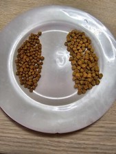 1 kg de pellets carpe expander 4 mm