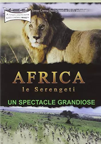Africa le serengeti - /,