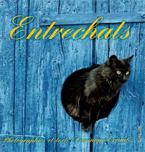Entrechats collectif - entrechats,,