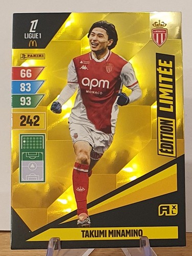 Panini adrenalyn ligue - panini,