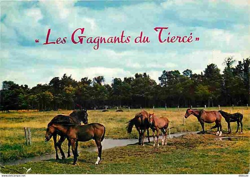 Carte postale animaux - animaux,