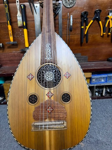 Professional arabic oud - professional,