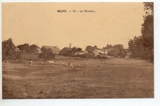 DAMMARTIN SUR MEUSE  Haute Marne CPA 52 Ecole de Malroy 13 le hameau vaches
