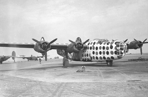 Ww2 aaf liberator avion - b-24,