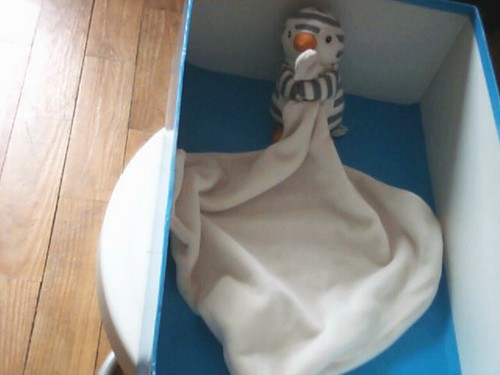 Doudou 5321 pingouin jelly - /,