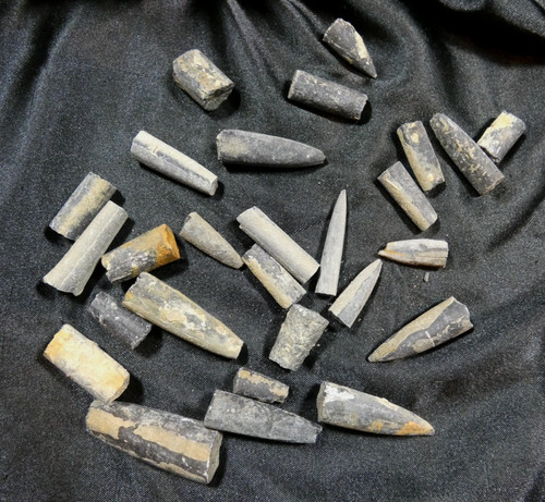 Lot rostres bélemnite - lot, 27