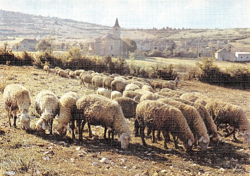 Paysage des - 48-paysage,