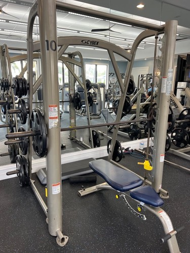 Cybex gym package - cybex,