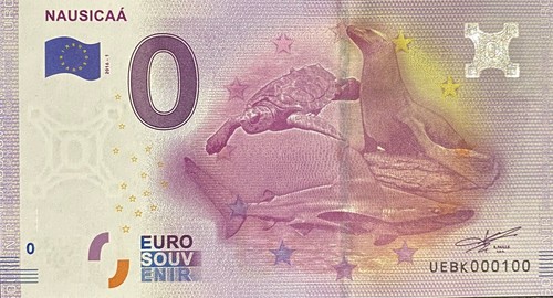 Billet euro nausicaa - billet,