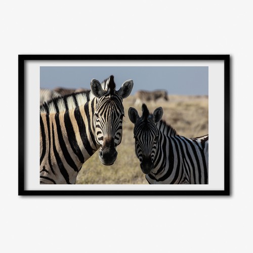 Tulup photo 60x40cm - cadre, le