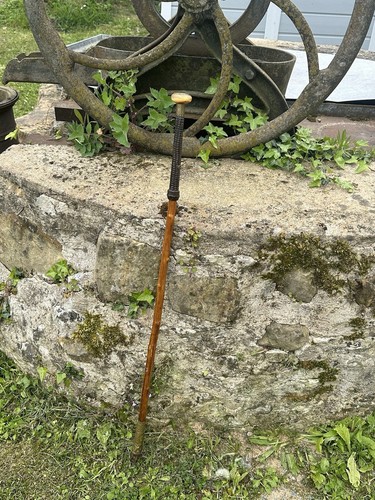 Ancienne canne basque makila - canne,