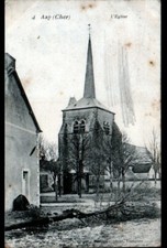 AZY (18) ABATTAGE d'ARBRE 