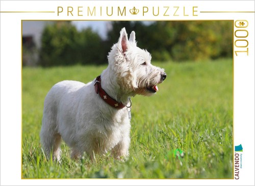 Calvendo puzzle west - puzzle,