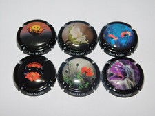 Série de 6 Capsules de