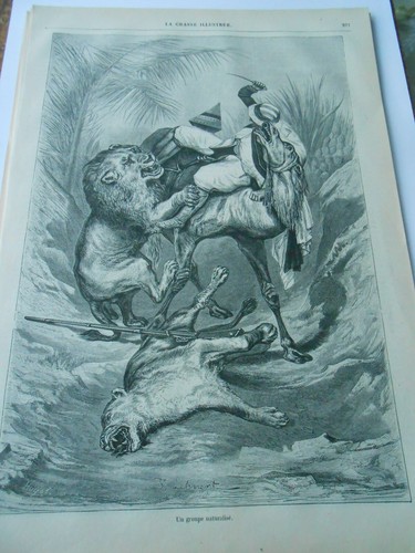Gravure 1868 les lions qui - gravure,