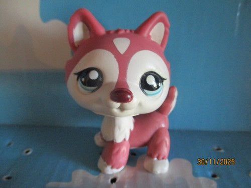 Petshop chien husky - petshop,