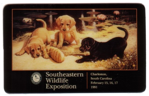 Chiots playing le - chiots, (chiens)