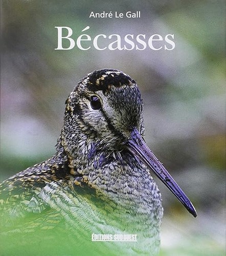Becasses gall andre - becasses,