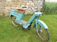 Rare terrot Skipper 10524