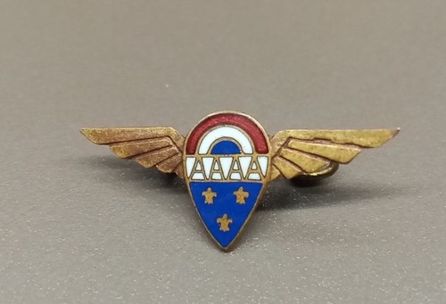 Insigne aviation amicale des - insigne,