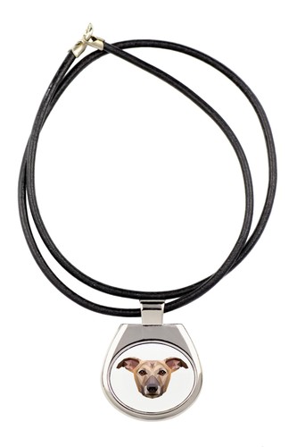 Lévrier anglais - (whippet),