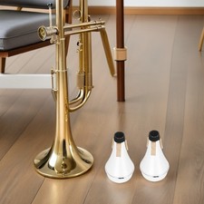  Lot de 2 sourdines pour