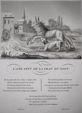 Ane Vetu de la Peau du Lion LA