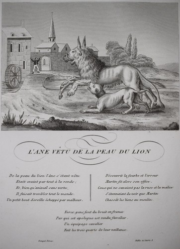 Ane vetu peau lion - du,