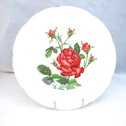 Royal cauldon angleterre - cauldon,
