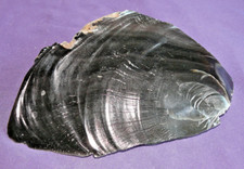 Obsidienne, Noire, Pierre