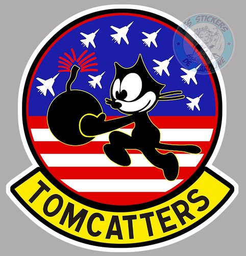 Grumman tomcat f14 - grumman,