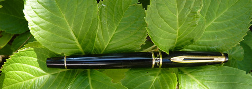 Stylo plume waterman - waterman, expert